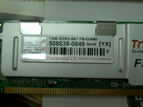 IMGP9644.JPG
