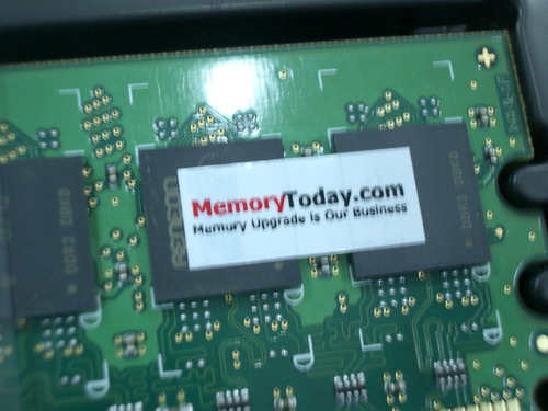 IMGP9648.JPG