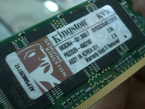 IMGP9650.JPG