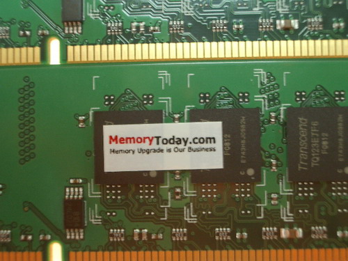 IMGP9653.JPG