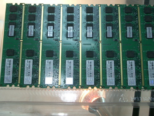 IMGP9654.JPG
