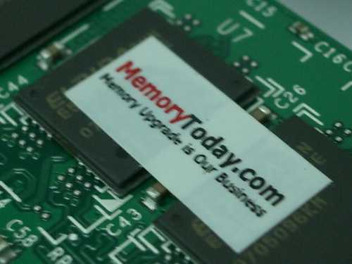 IMGP9656.JPG