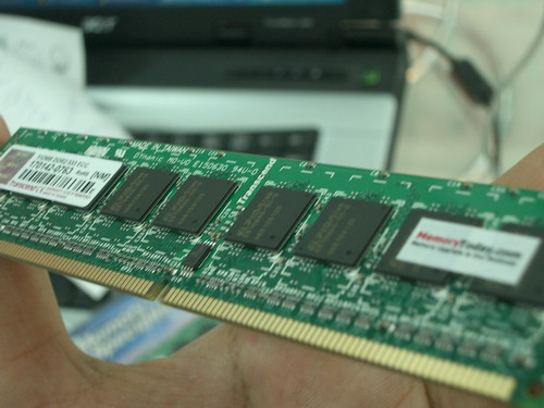 IMGP9662.JPG