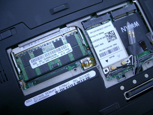 IMGP9664.JPG