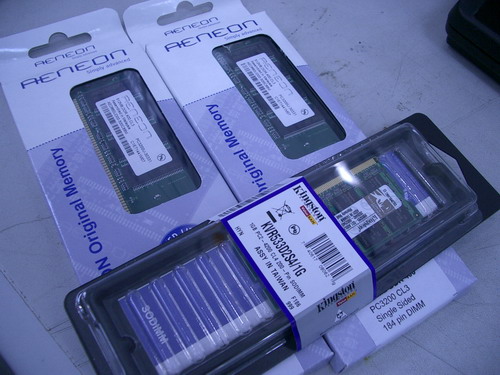 IMGP9666.JPG