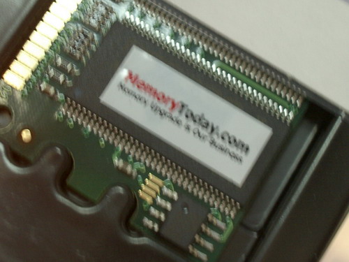 IMGP9673.JPG