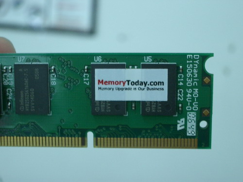 IMGP9677.JPG