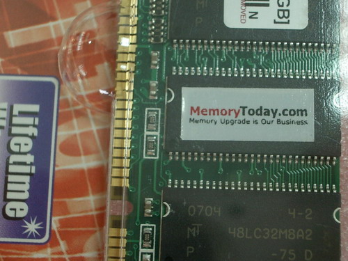 IMGP9688.JPG