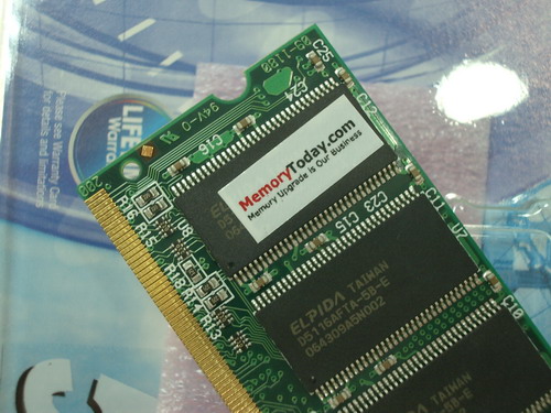 IMGP9690.JPG
