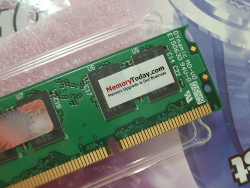 IMGP9691.JPG