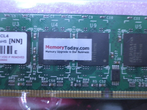 IMGP9695.JPG