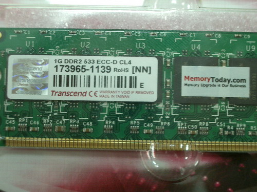 IMGP9696.JPG