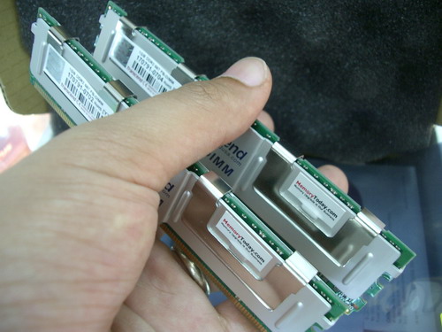IMGP9698.JPG
