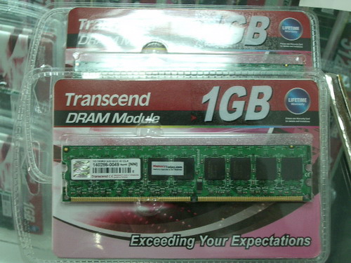 IMGP9698.JPG