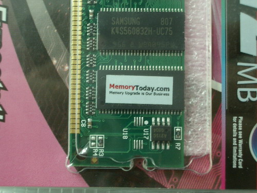IMGP9701.JPG