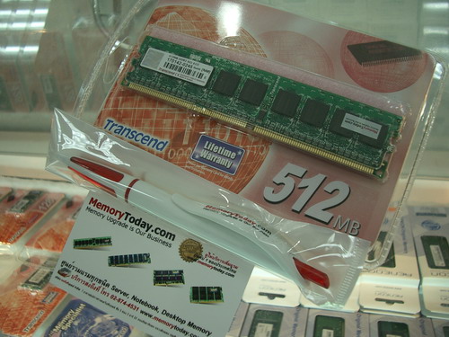 IMGP9704.JPG
