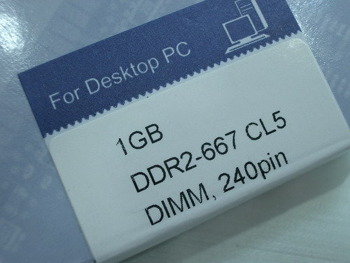 IMGP9712.JPG