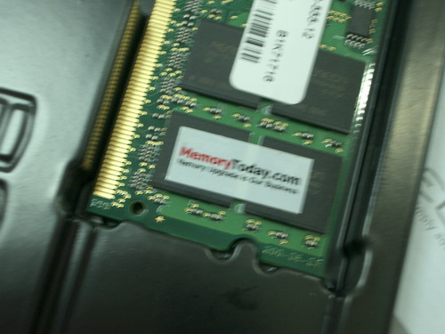 IMGP9718.JPG