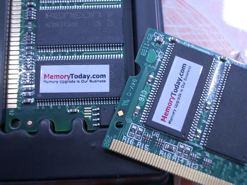 IMGP9724.JPG