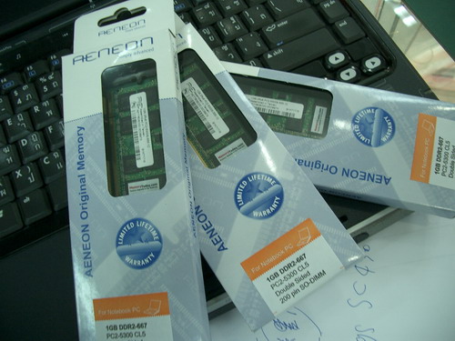 IMGP9730.JPG