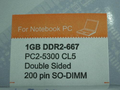 IMGP9731.JPG