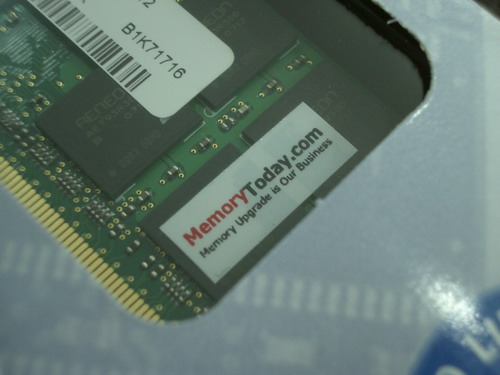 IMGP9733.JPG