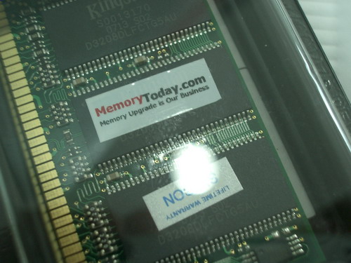 IMGP9749.JPG
