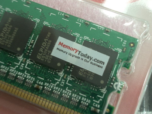 IMGP9755.JPG