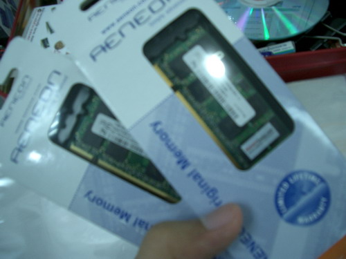 IMGP9761.JPG
