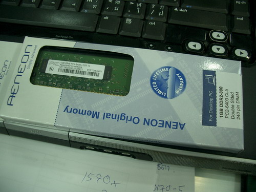 IMGP9764.JPG