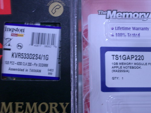 IMGP9767.JPG