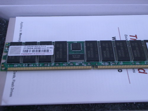 IMGP9770.JPG