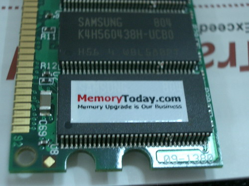IMGP9771.JPG