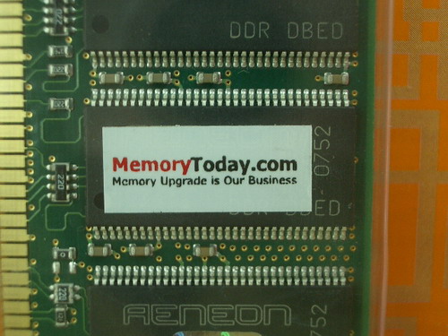 IMGP9774.JPG
