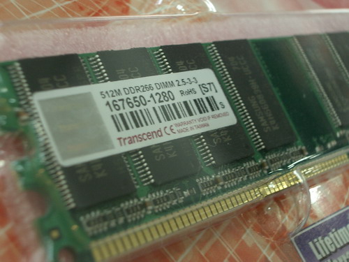 IMGP9777.JPG
