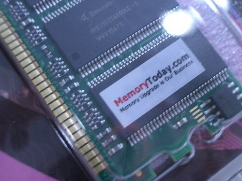 IMGP9785.JPG
