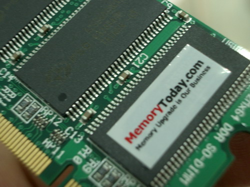 IMGP9786.JPG