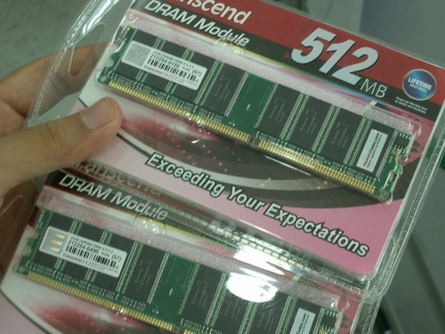 IMGP9786.JPG