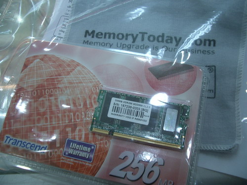 IMGP9787.JPG