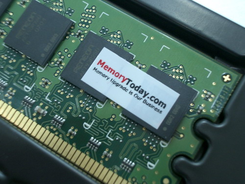 IMGP9790.JPG