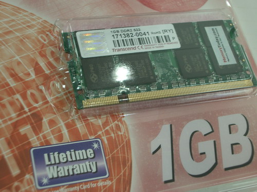 IMGP9799.JPG