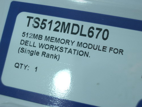 IMGP9801.JPG