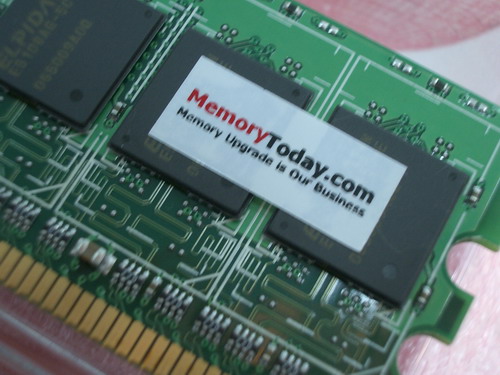 IMGP9802.JPG
