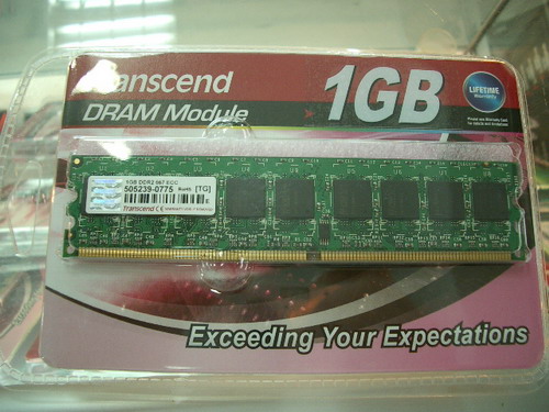 IMGP9802.JPG