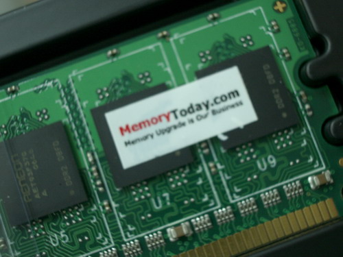 IMGP9805.JPG
