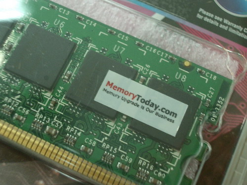 IMGP9805.JPG
