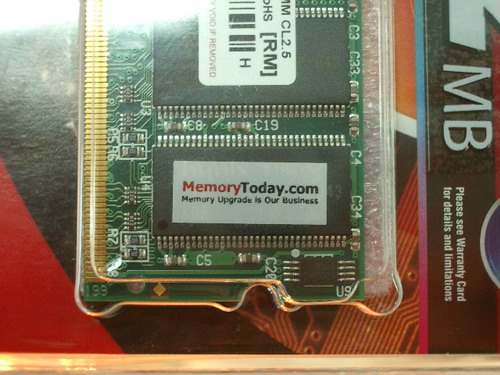 IMGP9806.JPG