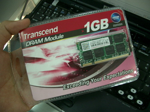 IMGP9810.JPG
