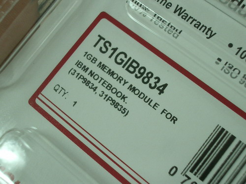 IMGP9811.JPG