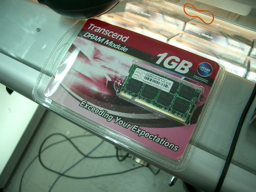 IMGP9813.JPG